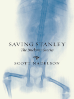 Saving Stanley