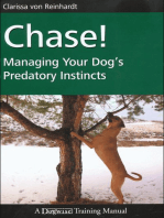 CHASE!: MANAGING YOUR DOG’S PREDATORY INSTINCTS