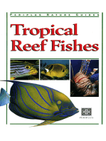 Tropical Reef Fishes: Periplus Nature Guide