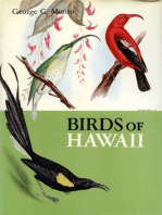 Birds of Hawaii