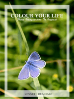 Colour Your Life: From Imagination To Impact