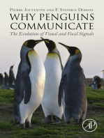 Why Penguins Communicate: The Evolution of Visual and Vocal Signals