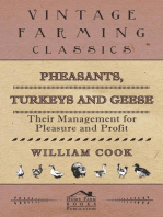 Pheasants, Turkeys and Geese: Their Management for Pleasure and Profit
