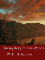 The Mystery of The Woods: novel