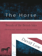 The Horse - Breeds of the British Isles (Domesticated Animals of the British Islands)