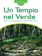 Un Tempio nel Verde: Cos’è e cosa rappresenta il Tempio Bosco Sacro