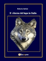 Il ritorno del lupo in Italia