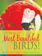 The World's Most Beautiful Birds! Animal Book for Toddlers | Children's Animal Books