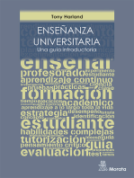 Enseñanza universitaria