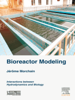 Bioreactor Modeling: Interactions between Hydrodynamics and Biology