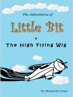 The Adventures of Little Bit and the High Flying Wig