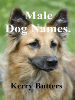Male Dog Names.