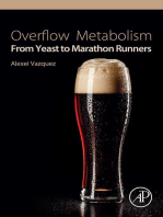 Overflow Metabolism: From Yeast to Marathon Runners