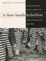 A New South Rebellion