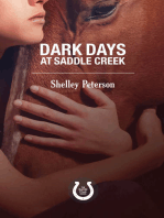 Dark Days at Saddle Creek: The Saddle Creek Series