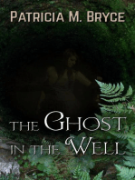 The Ghost in the Well