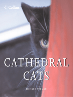 Cathedral Cats