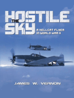 The Hostile Sky