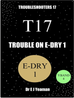Trouble on E-Dry 1 (Troubleshooters 17)