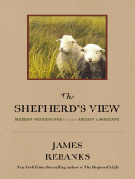 The Shepherd's View