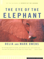 The Eye of the Elephant