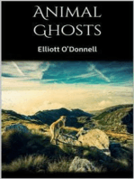 Animal Ghosts