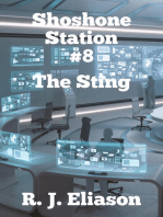 Shoshone Station #8