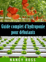 Guide complet d’hydroponie pour débutants