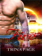 Second Chance: Heart of Fire Book 2 (Shifter Romance)