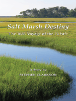 Salt Marsh Destiny: The 1635 Voyage of the Thistle