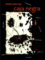 Caja Negra