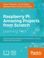 Raspberry Pi: Amazing Projects from Scratch