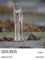 Coastal Wolves. Sette giorni con il branco