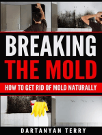 Breaking The Mold