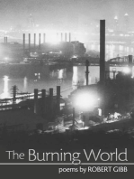 The Burning World