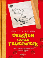 Drachen lieben Feuerwerk: Das knallrote Tagebuch des Julius S.