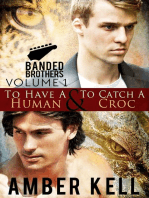 Banded Brothers, Volume 1