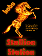 Stallion Station