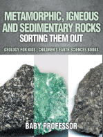 Metamorphic, Igneous and Sedimentary Rocks : Sorting Them Out - Geology for Kids | Children's Earth Sciences Books