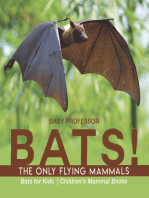 BATS! The Only Flying Mammals | Bats for Kids | Children's Mammal Books