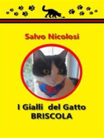 I Gialli del Gatto Briscola