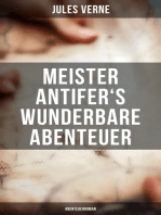 Meister Antifer's wunderbare Abenteuer: Abenteuerroman