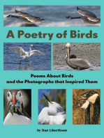 A Poetry of Birds: Ashley Long's Story