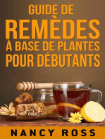 Guide de remèdes à base de plantes pour débutants