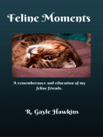 Feline Moments