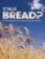 Stale Bread?: A Handbook for Speaking the Story