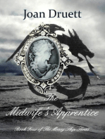 The Midwife's Apprentice: The Money Ship, #4