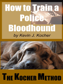How To Train A Police Bloodhound And Scent Discriminating Patrol ...