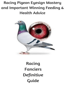 Read Racing Pigeon Eye Sign Mastery And Important Winning Feeding And Health Advice Online By The Racing Pigeon Enthusiast Books