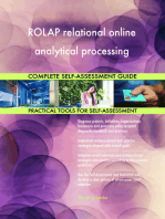 ROLAP relational online analytical processing Complete Self-Assessment Guide